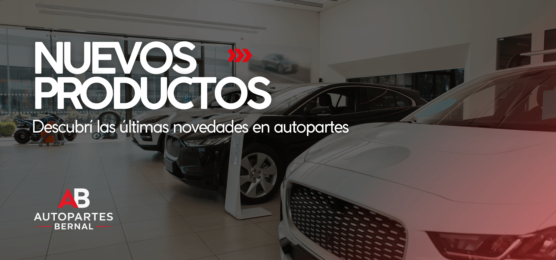 NUEVOS PRODUCTOS